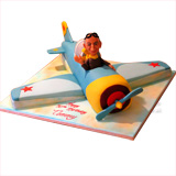 Yak Aeroplane Birthday Cake
